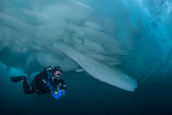 dsc-3356-foto-taucher-fotografie-baikalsee-kallweit-drysuit-under-ice4520B06A-D127-68EB-4C03-24FC9520A5B6.jpg