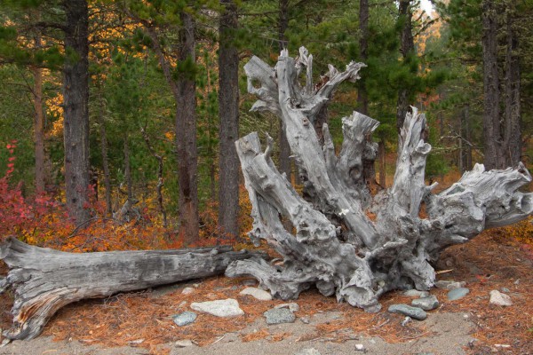 foto-taucher-fotografie-baikalsee-9CE4D80F6-92D7-CF55-6420-4CF95CCF02FB.jpg