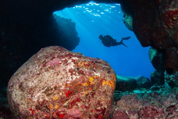 08-foto-taucher-unterwasserfotografie-hawaii-kona-lavagestein-unterwasserlandschaft-taucherBB13B212-07DC-89E6-EDA6-4D1BBF8EC491.jpg