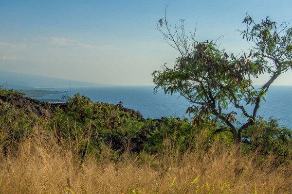 15-foto-taucher-fotografie-hawaii-kona-captain-cookFB3D496A-FC31-40EB-5EF8-04A0864AE961.jpg