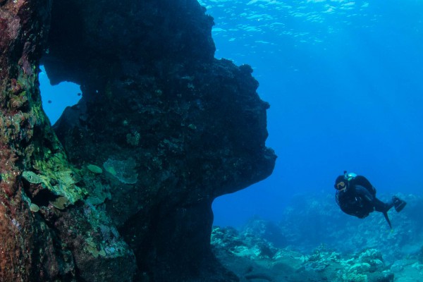 19-foto-taucher-unterwasserfotografie-hawaii-kona-lavagestein-lavaformation-unterwasserlandschaft-taucherDBD2FC5E-B100-F233-A4EC-C2434C7C76A0.jpg