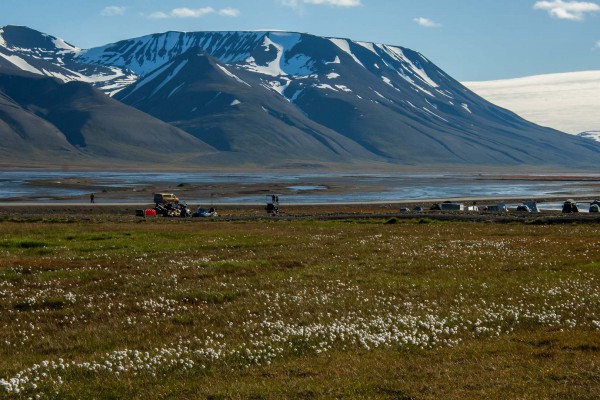 24-foto-taucher-fotografie-arktis-svalbard-longyearbyen79168CBA-8DCB-C3BB-C5B2-17E22C9FFA02.jpg