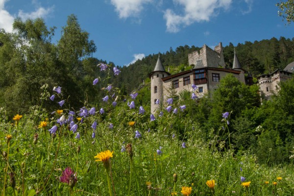 foto-taucher-fotografie-hotel-schloss-fernsteinsee367A1CB1-9B44-9D9F-3E46-AFA4F8A666CA.jpg