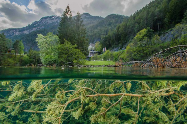 foto-taucher-unterwasserfotografie-fernsteinsee-hotel-schloss-fernsteinsee29A40849-FF91-153D-9710-C89E7FBFBC15.jpg