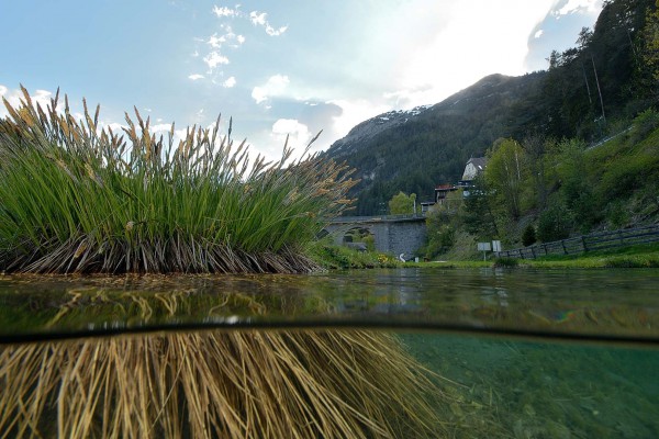 foto-taucher-unterwasserfotografie-hotel-schloss-fernsteinsee19B8338B-0BC6-4265-A28B-FF8E3840EAB4.jpg