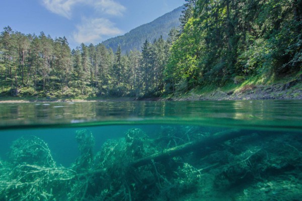 foto-taucher-unterwasserfotografie-trockentauchanzug-kallweit-samarangersee-hotel-schloss-fernsteinsee33E1DD69-CB5E-EFC1-B9C0-2C269C294964.jpg