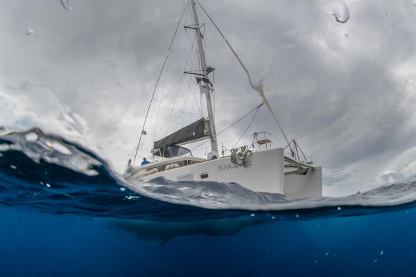 foto-taucher-unterwasserfotografie-azoren-faial-s-y-saildive-liveboard-katamaranD5B9F708-3C62-C00E-3500-74B478E6432B.jpg