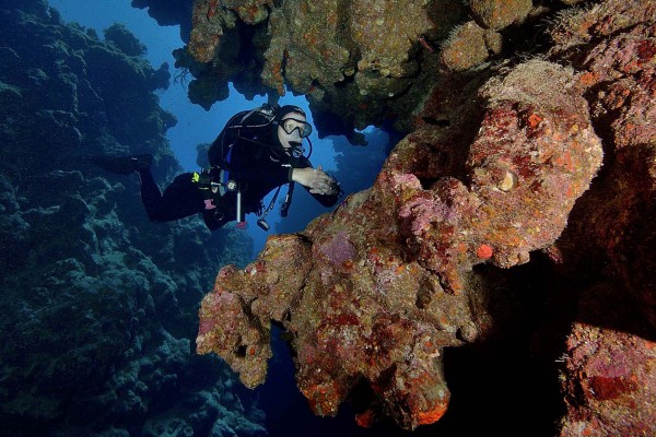 foto-taucher-unterwasserfotografie-aegypten-dahab-canyon40E8947F-67AC-1488-37BF-3D7FEE37F568.jpg