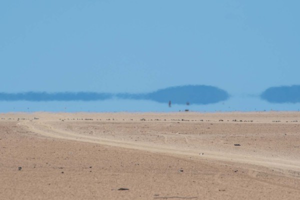 foto-taucher-fotografie-djibouti-dsc26037112B1C5-AC2E-9D84-E302-5A52E480E8ED.jpg