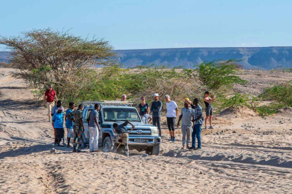 foto-taucher-fotografie-djibouti-dsc2777A8AD36C9-6E8D-FC22-4B0A-0598C36FD27E.jpg