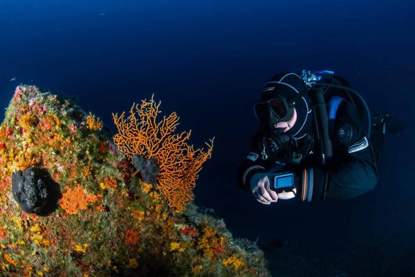 dsc-6326-foto-taucher-unterwasserfotografie-kroatien-krk37CB2A56-997E-C75A-7C2A-8B92561BD8A8.jpg