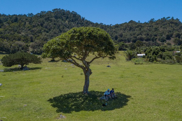 foto-taucher-fotografie-st-helena-dji-0254E8880649-05A5-4B3D-C43D-169CB9EAAF72.jpg